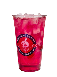DESERT PUNCH