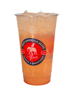 Watermelon Lemonade